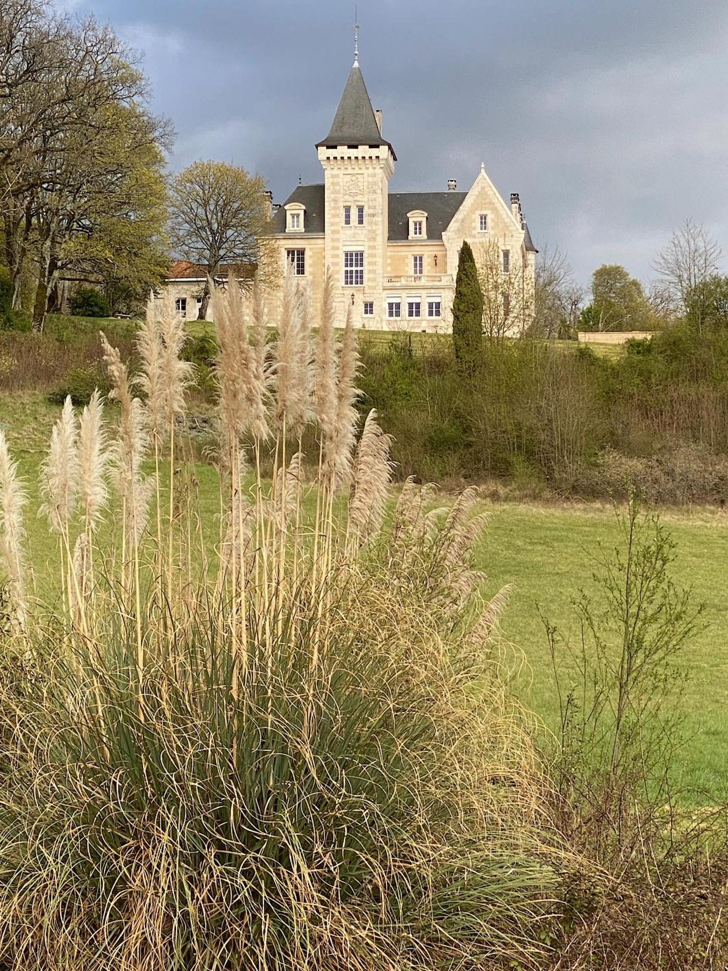 Chateau De Bellevue B&B Et Appartements Avec Piscine Saisonal Chauffee Et Chambres Partout Climatisees Saint-Avit  ภายนอก รูปภาพ